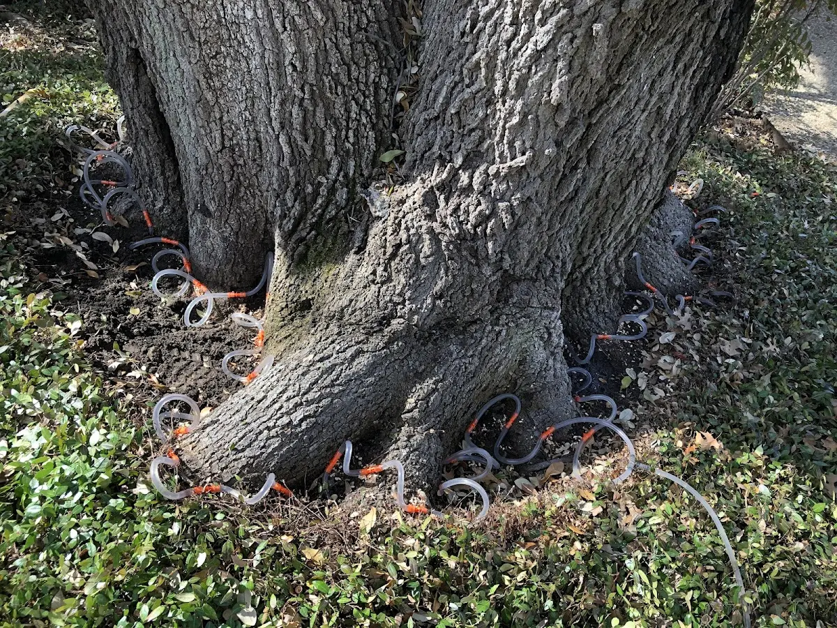 Detailed Shrub and Hedge Trimming job site in Mountainburg